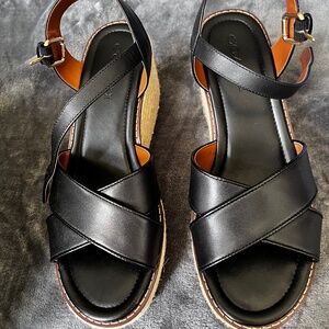 Coach wedges (size 9 brand new)